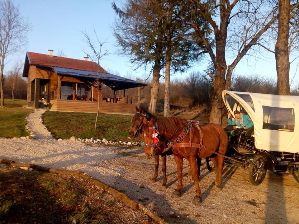Evergreen House Plitvice Rakovica Eksteriør bilde
